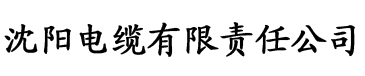 石榴视频app污电缆厂logo